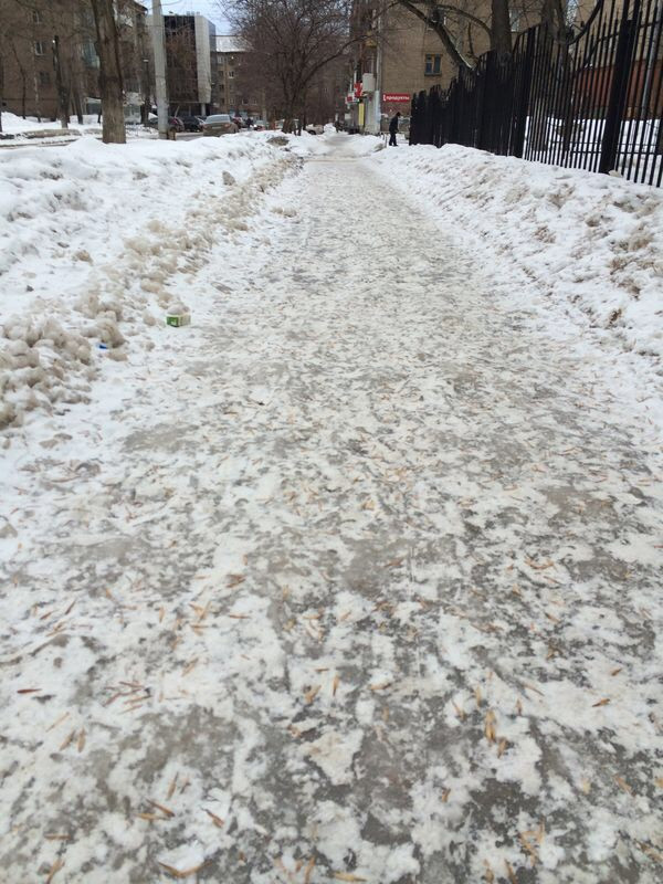 Ледяной тон