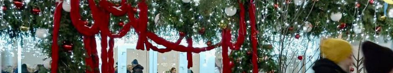 В Перми состоялось открытие Бионорд Катка